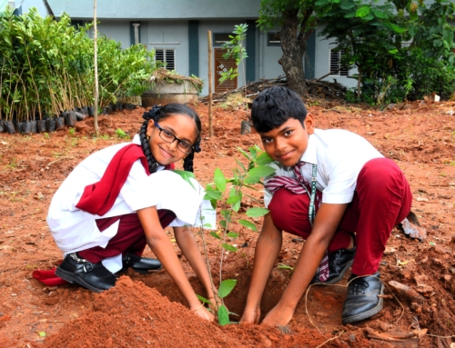 Plantation Drive at Perecherla VRO Region